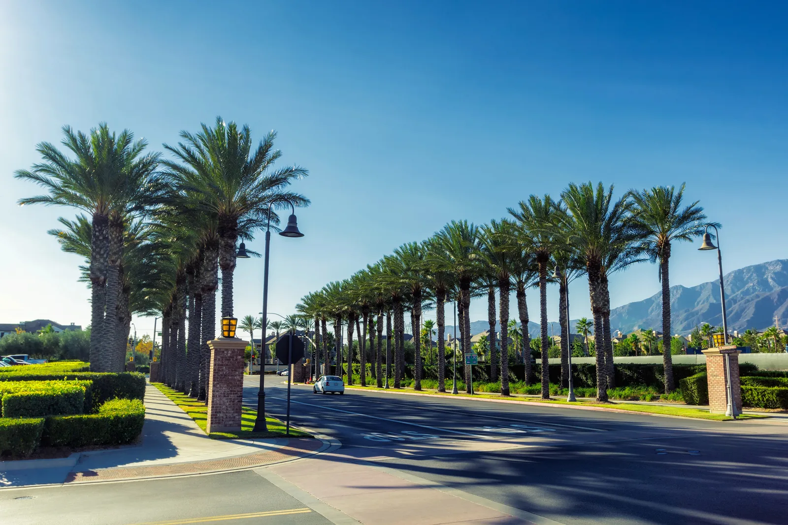 Palm trees line a street with a car, streetlights, and mountains under a clear sky.