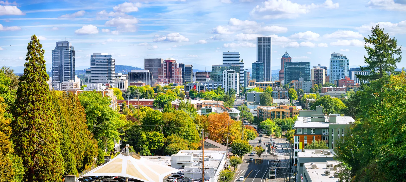 City skyline with modern buildings, lush green and autumn trees, and a road with cars and a streetcar.