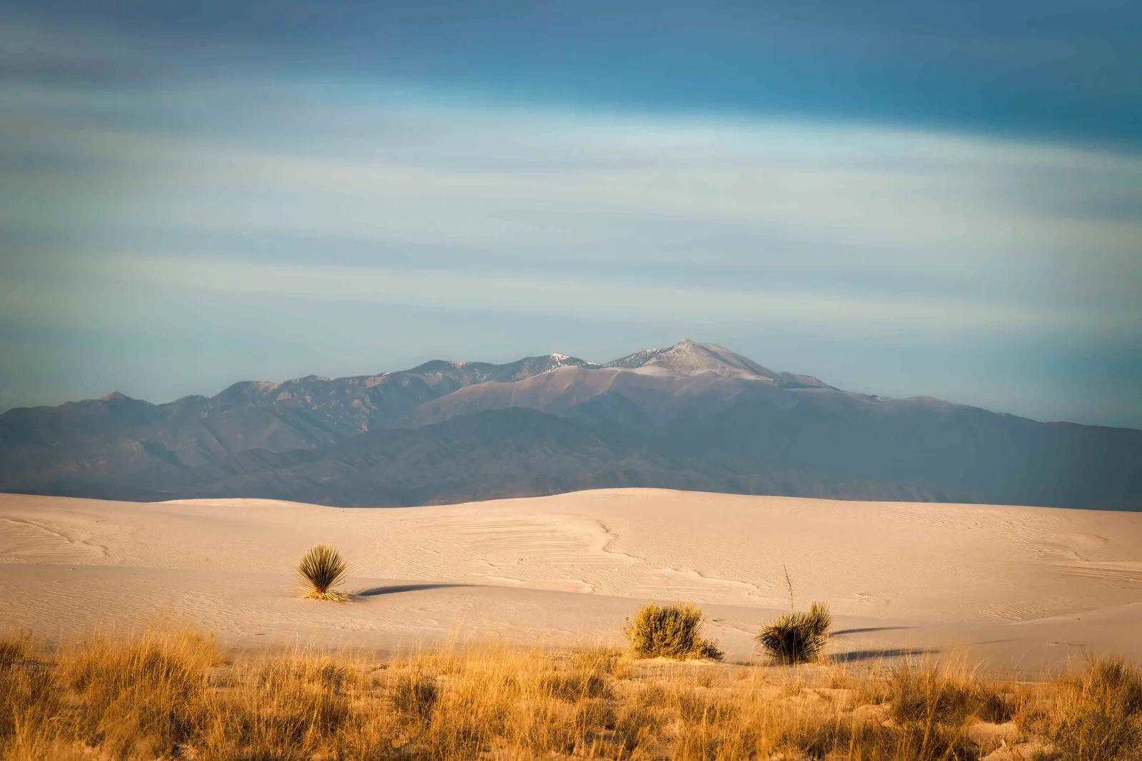 Desert sand dunes with sparse vegetation lead toward a mountain range under a partly cloudy sky.