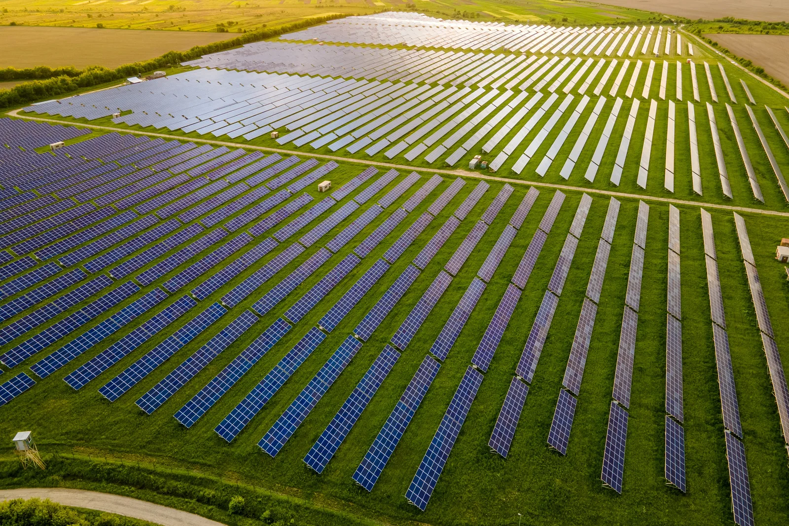 Aerial view of rows of solar panels in a large green field.